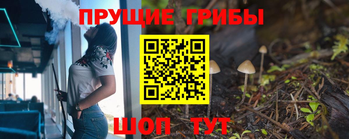 Галлюциногенные грибы Cubensis  Вход с VPN  Ишим 